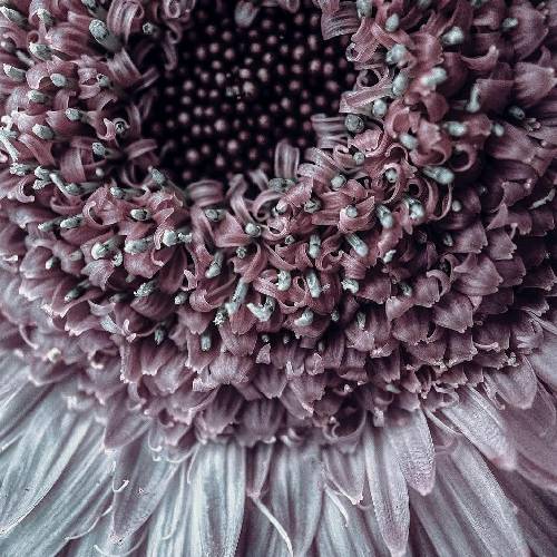  تو کجا بودی وقتی پناهنده کوچه ها بودم، مقیم پارک